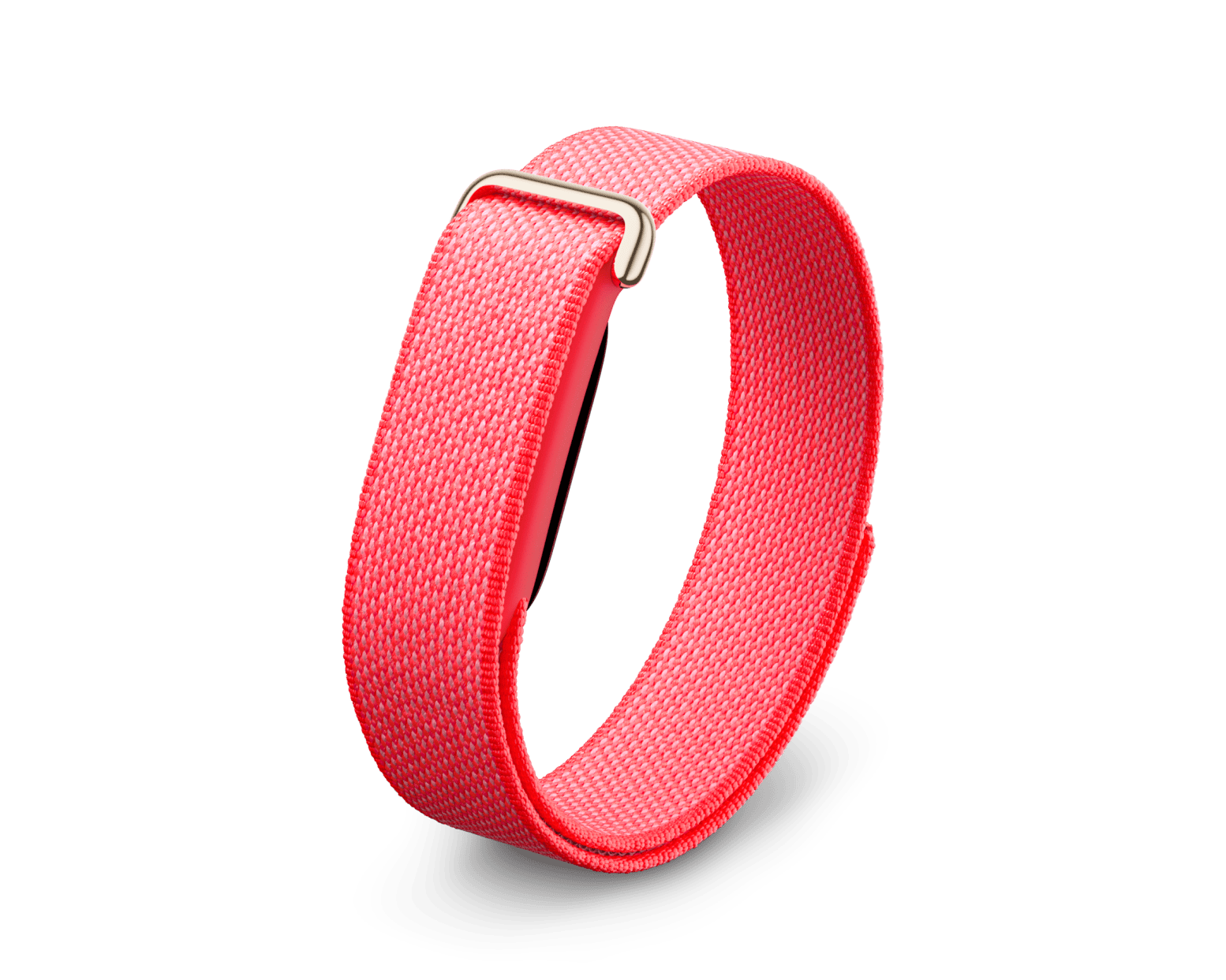 Google Fitbit Air
